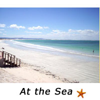 At the sea