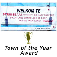 Town of the Year Award